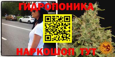 spice Апшеронск