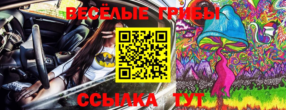Беслан  хочу   Вход с VPN  Псилоцибиновые грибы Psilocybe  Галлюциногенные грибы Magic Shrooms 
