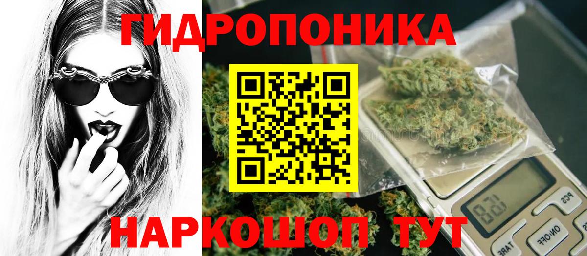 Бошки Шишки AK-47 Беслан